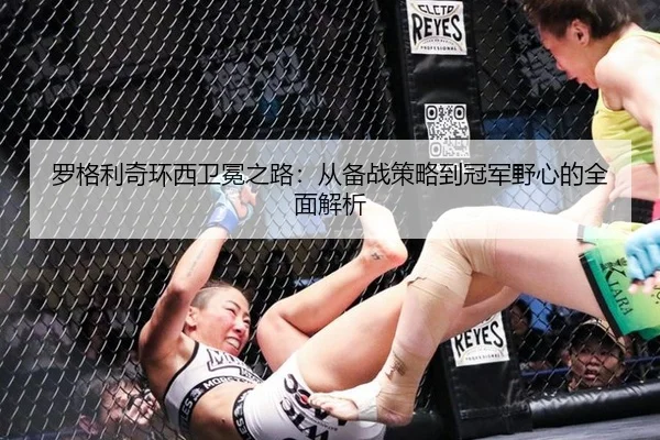 luo-ge-li-qi-huan-xi-wei-mian-zhi-lu-cong-bei-zhan-ce-lve-dao-guan-jun-ye-xin-de-quan-mian-jie-xi-2-692.jpg
